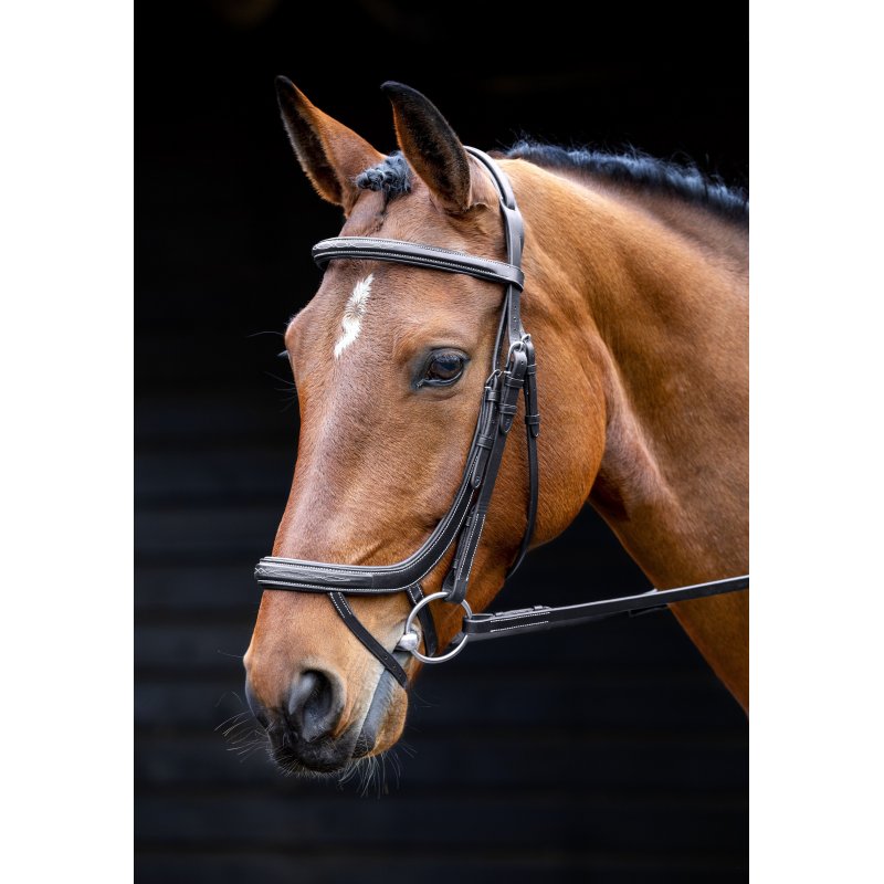 Salisbury Bridlework Salisbury Buckingham Bridle