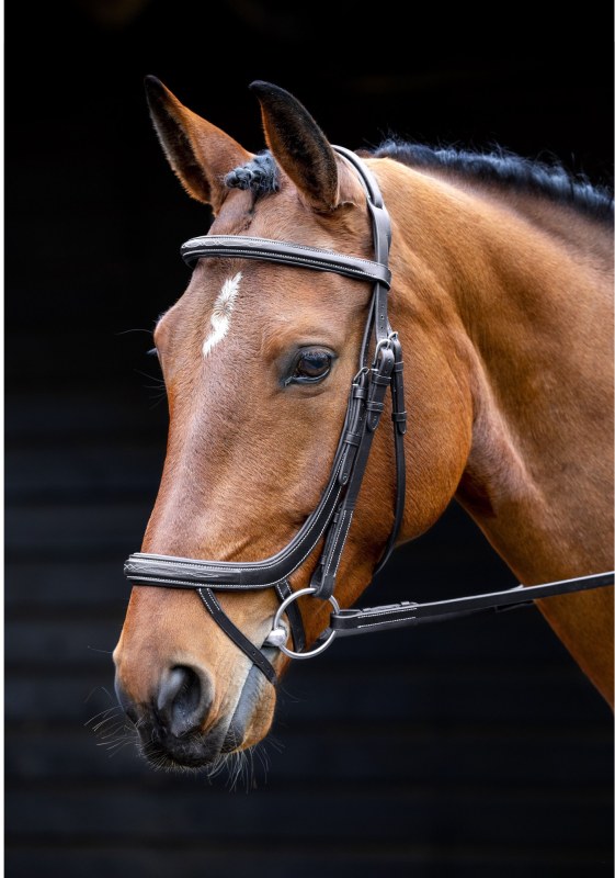 Salisbury Buckingham Bridle Salisbury Buckingham Bridle