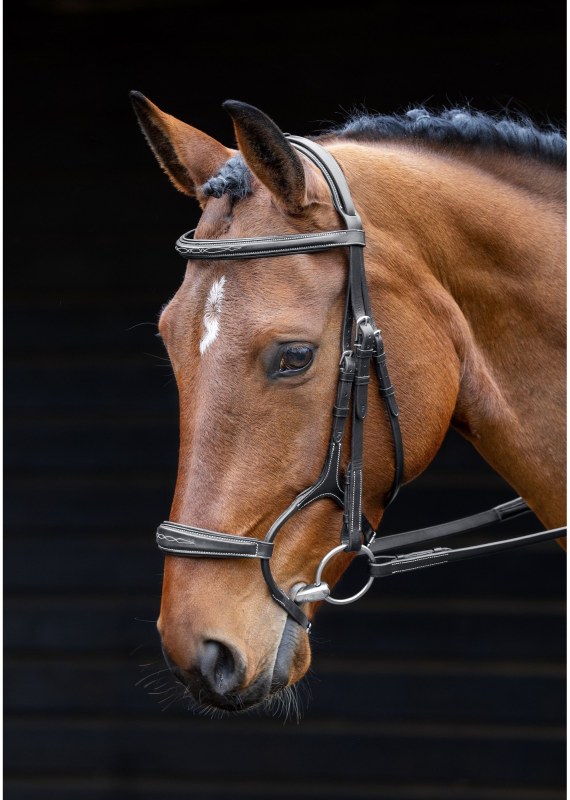 Salisbury Brampton Bridle Salisbury Brampton Bridle