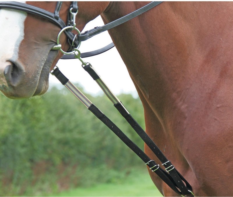 The Original Harbridge Training Aid The Original Harbridge Training Aid