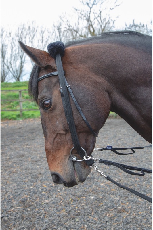 Shires Lunging Adapter Shires Lunging Adapter