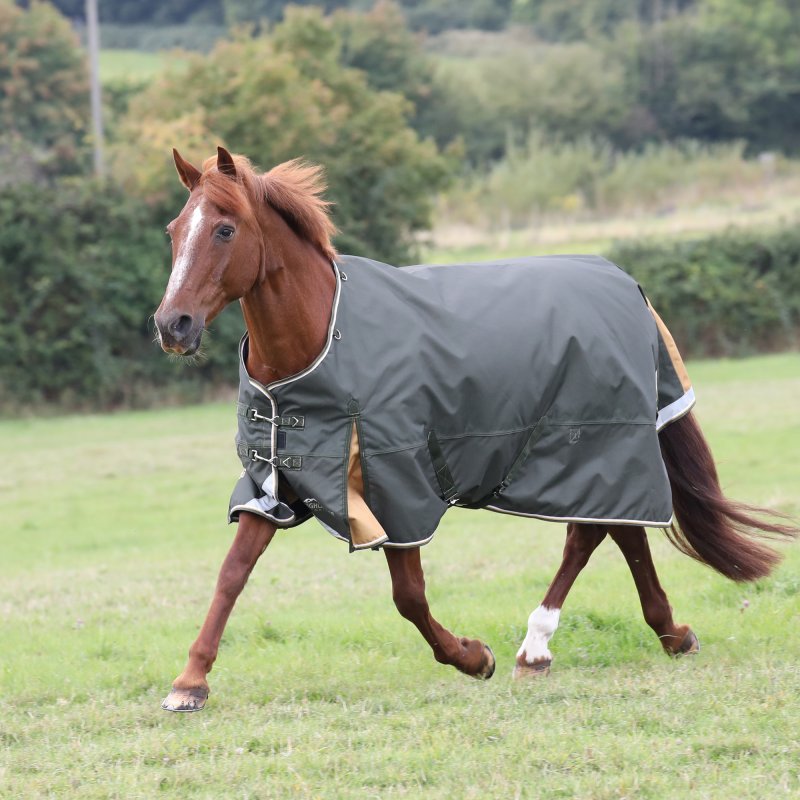 Shires Shires Highlander Plus 50 Turnout Rug Green