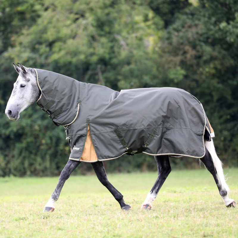 Shires Highlander Plus 50 Combo Turnout Rug Green - Townfields