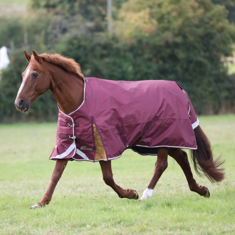 Shires Shires Highlander Plus 100 Turnout Rug Maroon