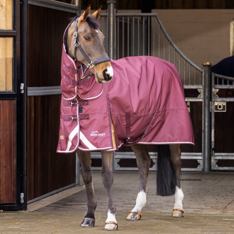 Shires Shires Highlander Plus 100 Combo Turnout Rug Maroon