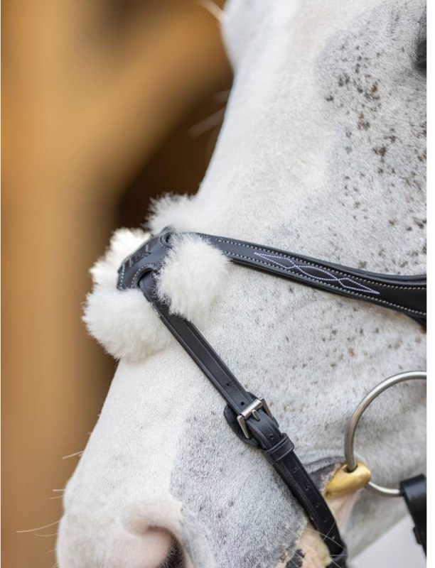 LeMieux Kudos Grackle Bridle LeMieux Kudos Grackle Bridle