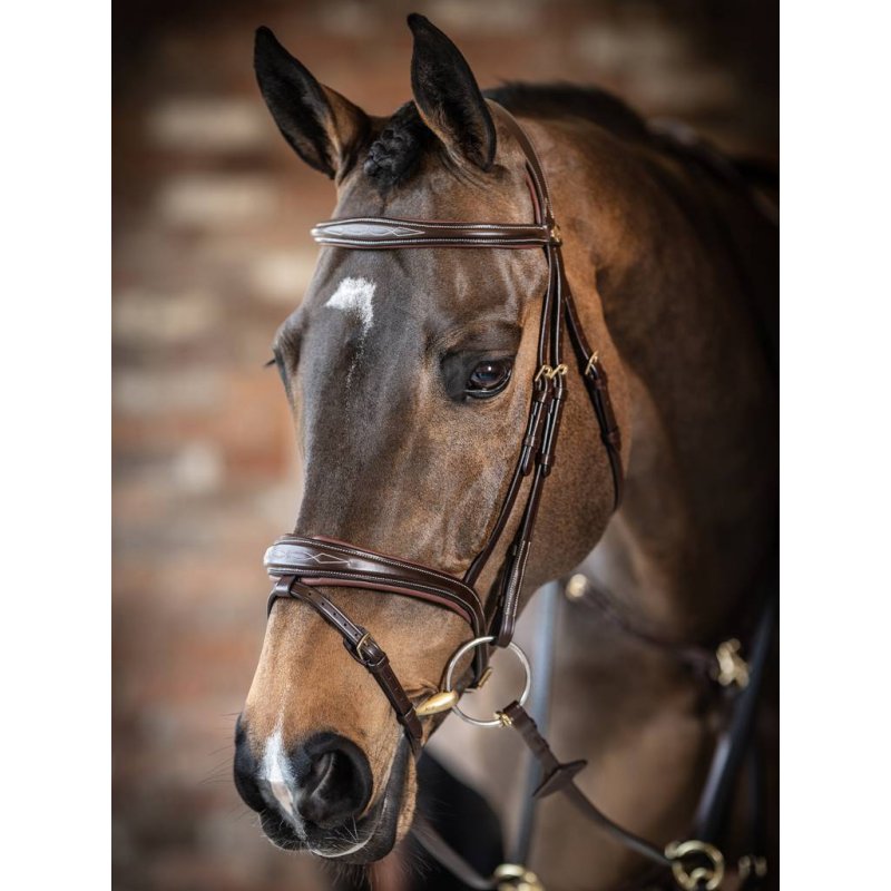 LeMieux LeMieux Kudos Competition Flash Bridle