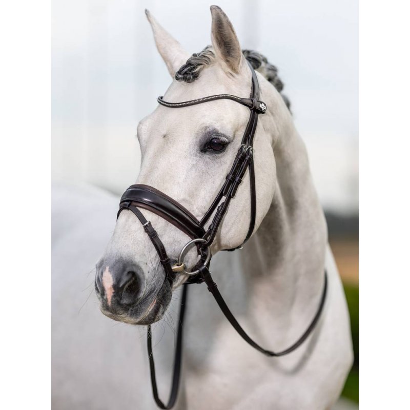 LeMieux LeMieux Kudos Classic Dressage Bridle