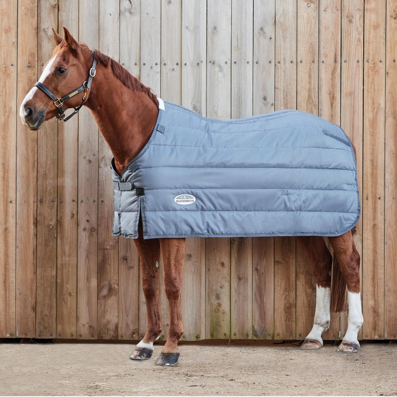 Weatherbeeta Horse Rugs Weatherbeeta ComFiTec Thermi Heat Liner Medium/Liner