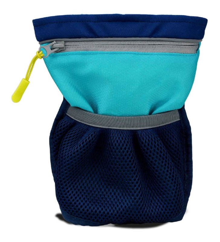 Coachi Pro Train & Treat Bag Coachi Pro Train & Treat Bag