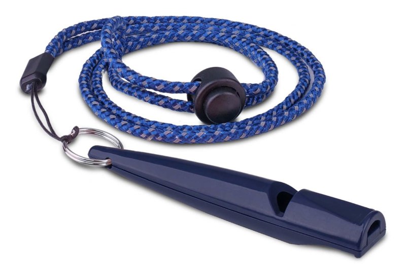 Coachi Training Whistle Coachi Training Whistle
