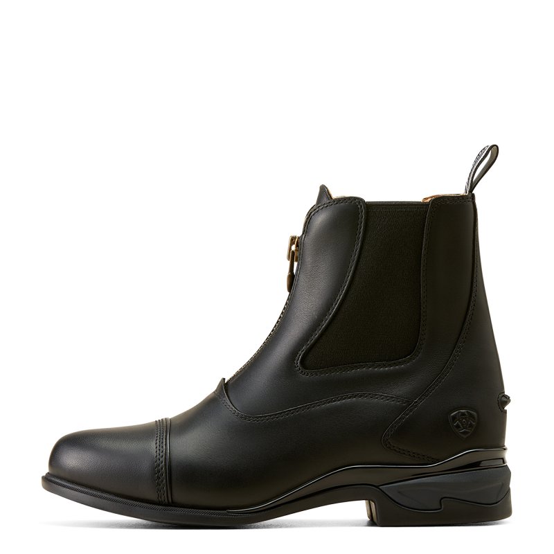 Ariat paddock boots mens online