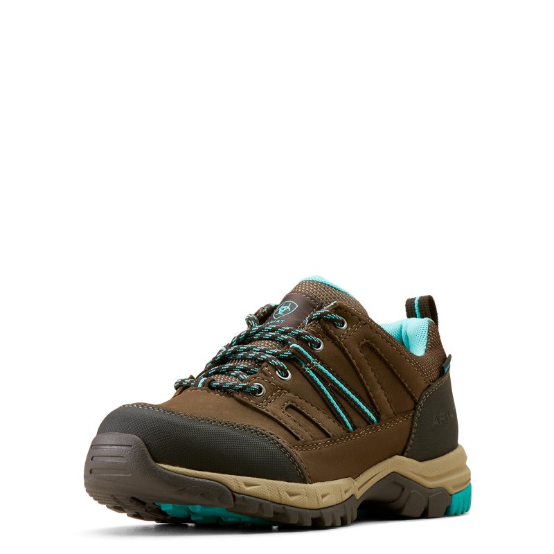 Ariat Womens Skyline Summit Low Waterproof Boots