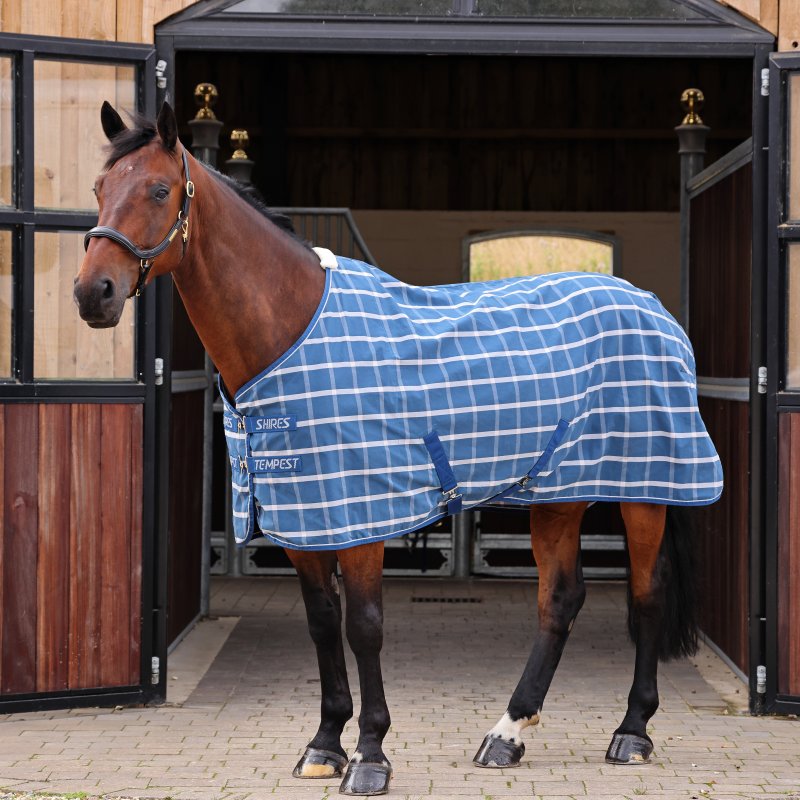 Shires Shires Tempest Original Stable Sheet Teal Check