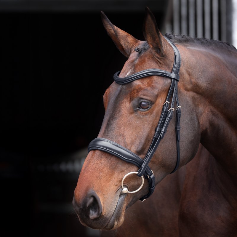 Velociti Lusso Velociti Lusso Elite Padded Cavesson Bridle