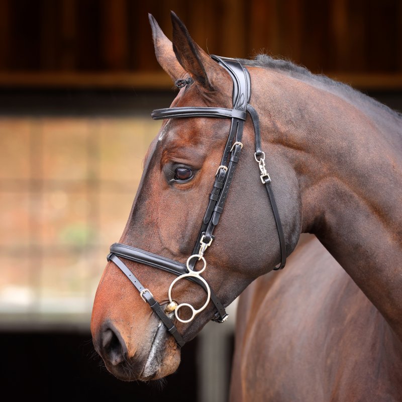 Velociti Rapida Velociti Rapida Training Bridle