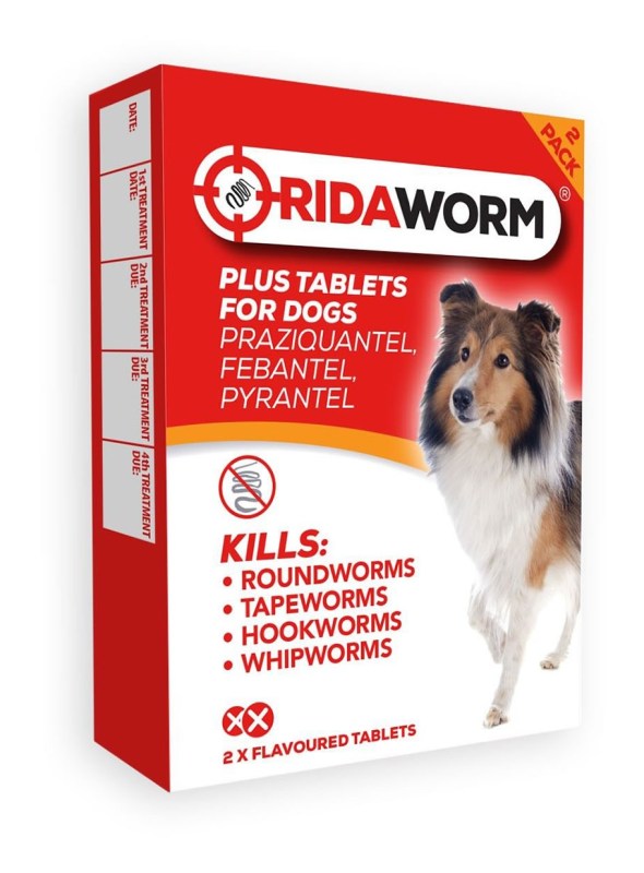 Chanelle Ridaworm Dog Tablets - 2 Tablets Chanelle Ridaworm Dog Tablets - 2 Tablets