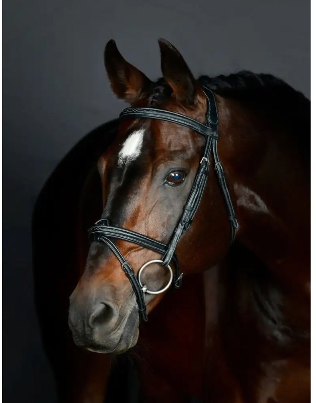 Collegiate Comfitec Opulux Fancy Stitch Padded Hanoverian Bridle Black Collegiate Comfitec Opulux Fancy Stitch Padded Hanoverian Bridle Black