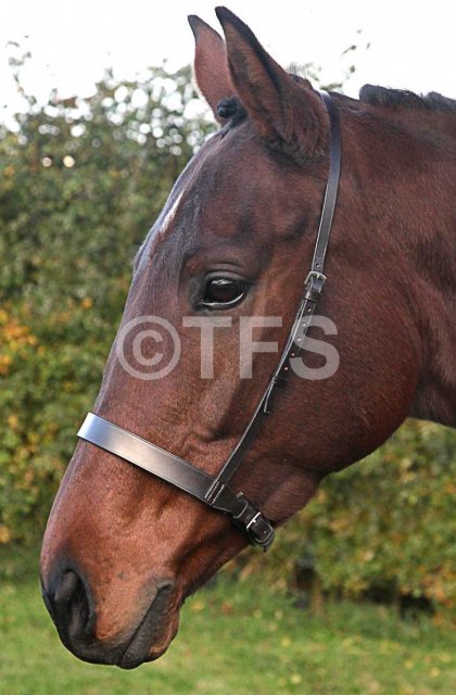 Townfields Leatherwork Townfields Hunter Noseband