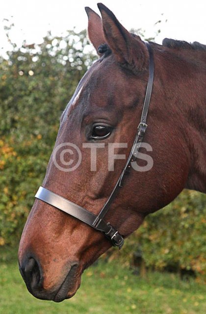 Townfields Saddlers Leatherwork Townfields Hunter Noseband