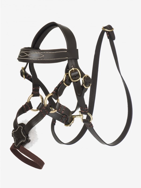 LeMieux Toy Pony Grackle Bridle Brown LeMieux Toy Pony Grackle Bridle Brown