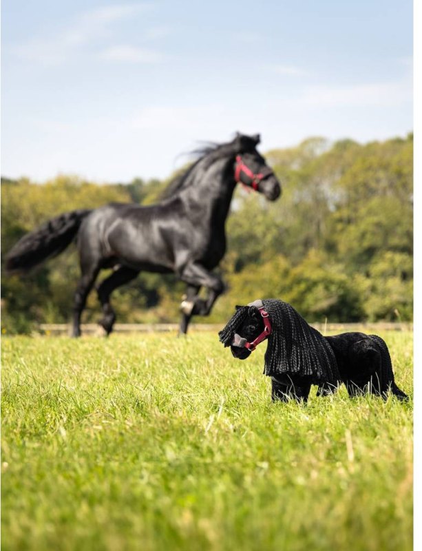 LeMieux Toy Pony Spike LeMieux Toy Pony Spike