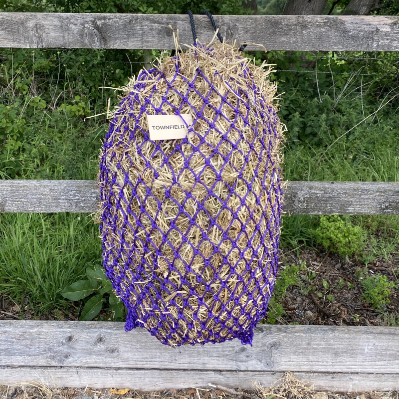 greedy purple small 
