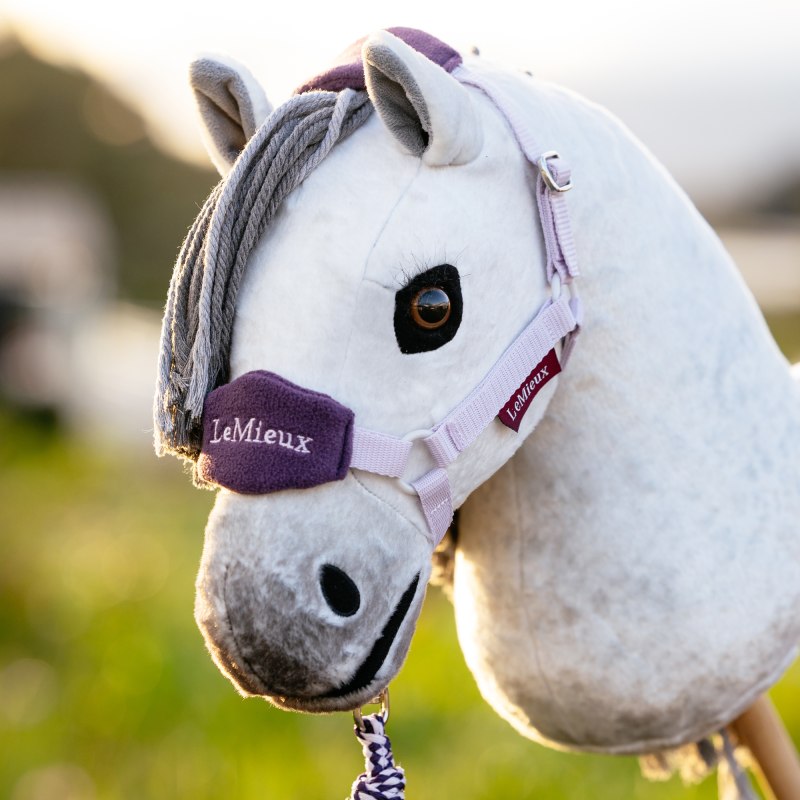 hobby headcollar
