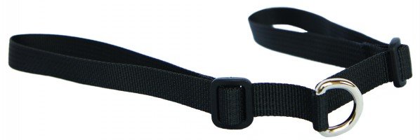 Saddle Attachment Strap