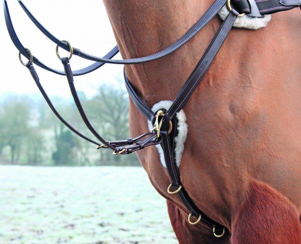 Salisbury Five Point Breastplate Salisbury Five Point Breastplate