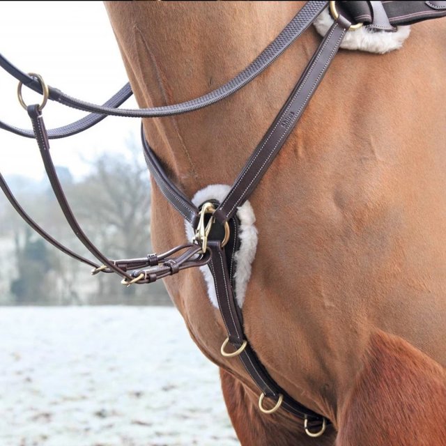 Salisbury Bridlework Salisbury Five Point Breastplate