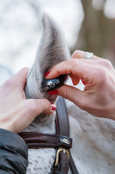 Plughz Equine Ear Plugs