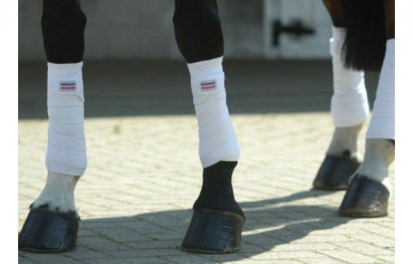 John Whitaker International John Whitaker Training Bandages