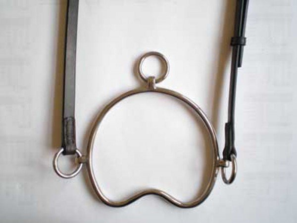 Chifney Bit with Bradoon Strap