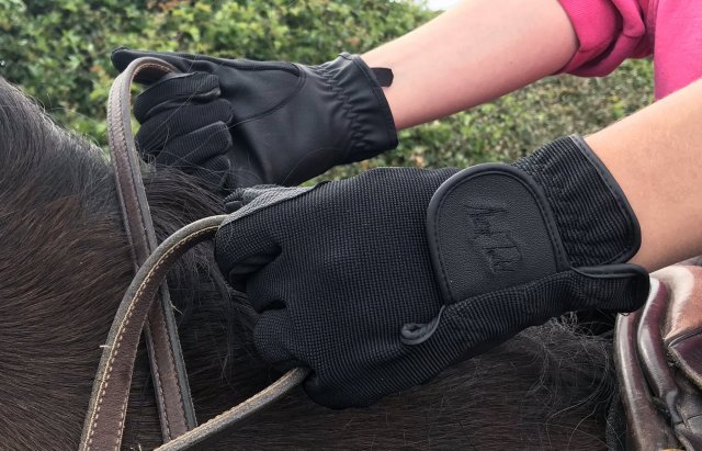 Includes Tigerbox Antibacterial Pen. Sizes XSmall-XLarge Mark Todd Adults Leather Winter Horse Riding Gloves with Thinsulate Lining