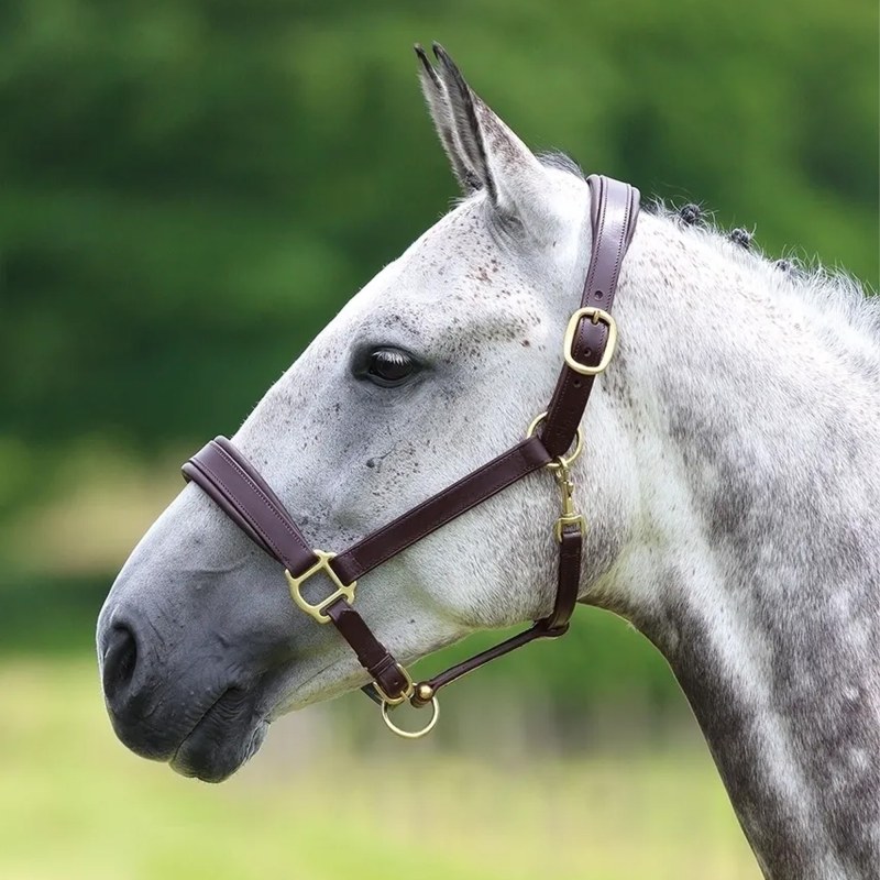 Velociti Gara Leather Travel Headcollar Velociti Gara Leather Travel Headcollar