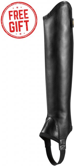 Ariat Riding Boots and Footwear Ariat Concord Half Chaps
