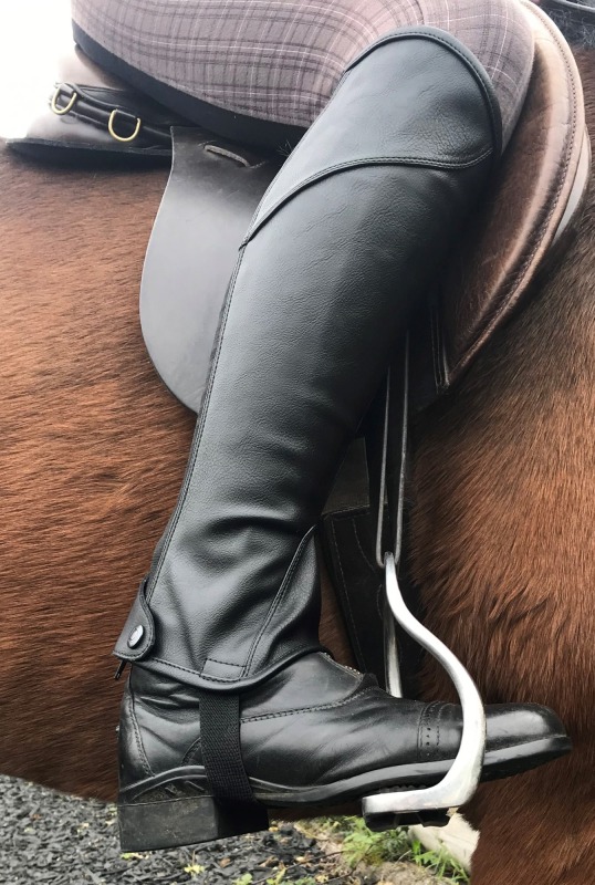 Dublin Stretch PU Leather Adult Half Chaps Dublin Stretch PU Leather Adult Half Chaps