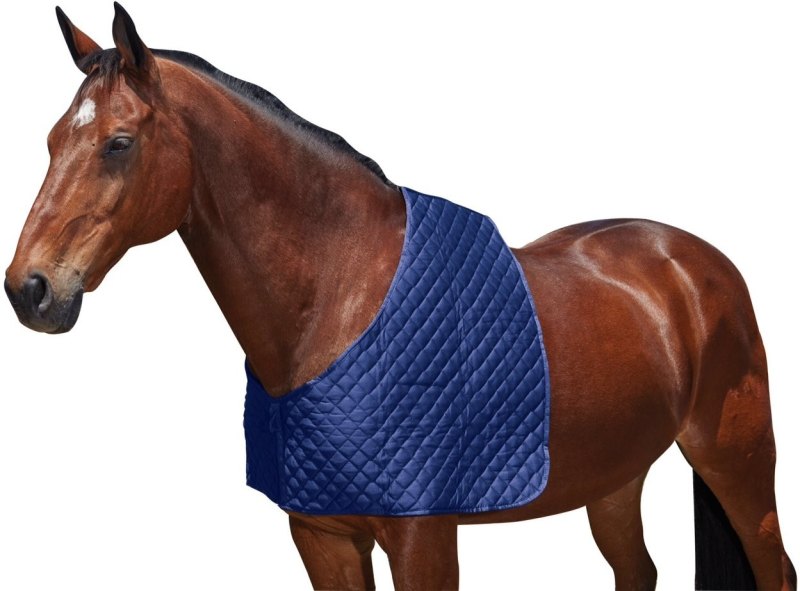 Weatherbeeta Deluxe Shoulder Guard Weatherbeeta Deluxe Shoulder Guard