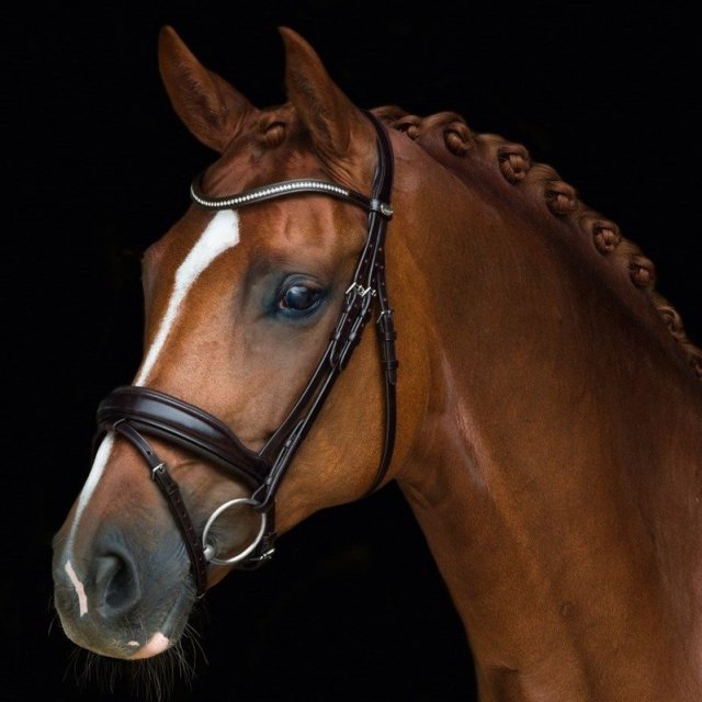 Schockemohle Sports Schockemohle Stanford Anatomic Snaffle Bridle