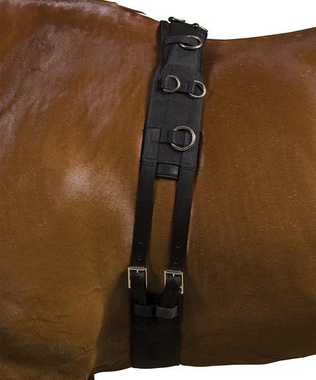 Kincade Deluxe Lunge Roller Kincade Deluxe Lunge Roller