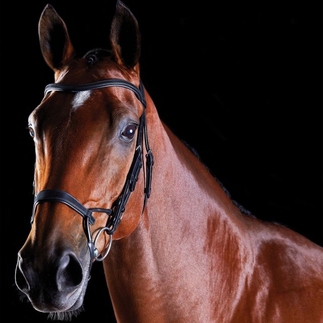 Collegiate Collegiate ComfiTec Training Bridle