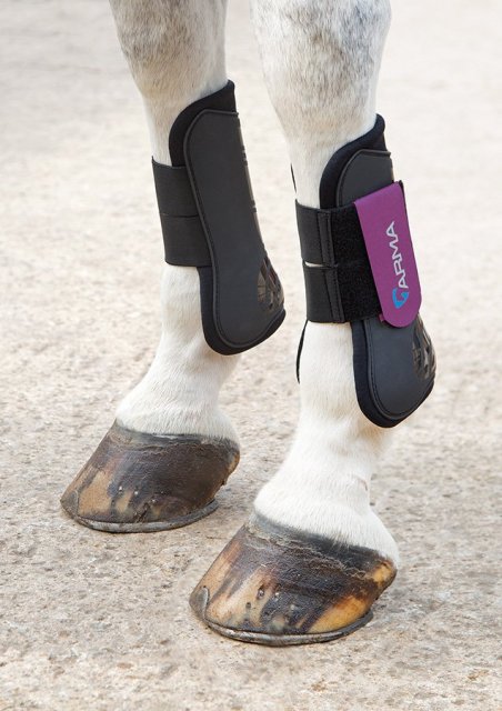 Shires Arma Tendon Boot Townfields Saddlers