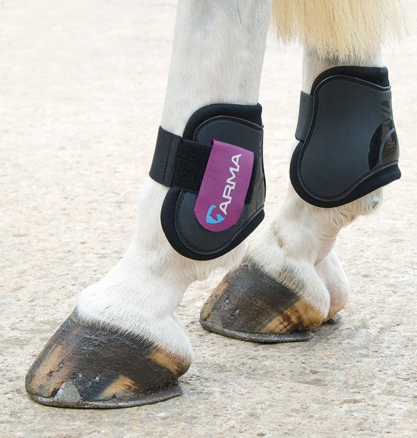 Shires Arma Fetlock Boots - Townfields Saddlers