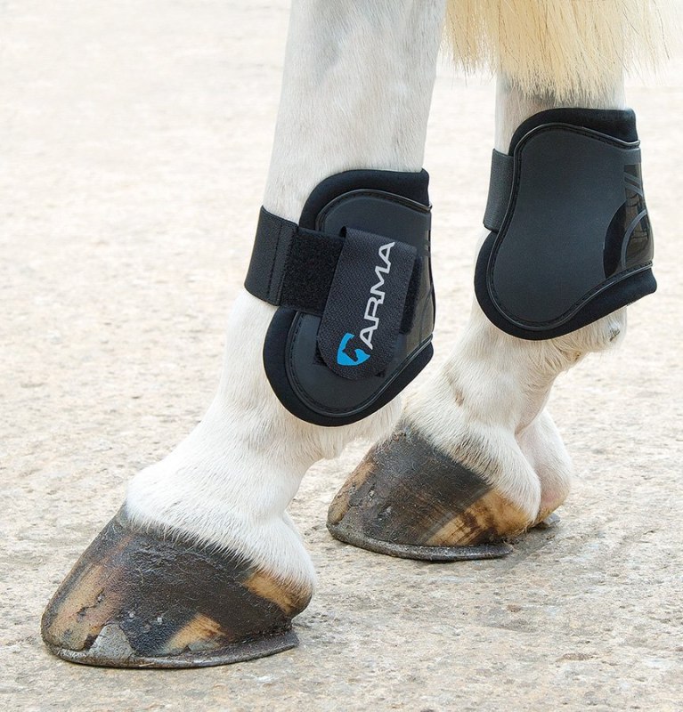 Shires Arma Fetlock Boots Shires Arma Fetlock Boots