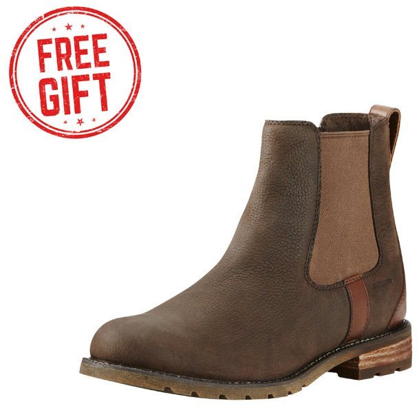 Ariat Riding Boots and Footwear Ariat Ladies Wexford Jodhpur Boot
