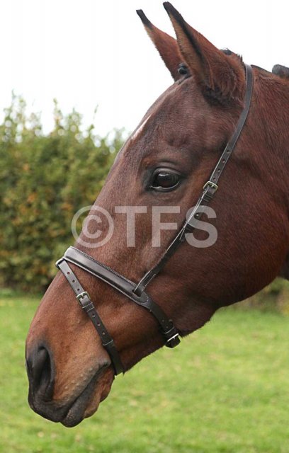 Townfields Saddlers Leatherwork Townfields Flash Noseband