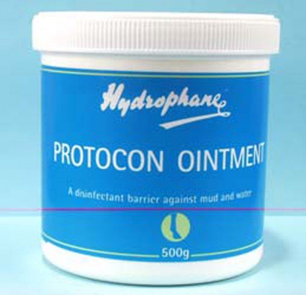 Hydrophane Protocon