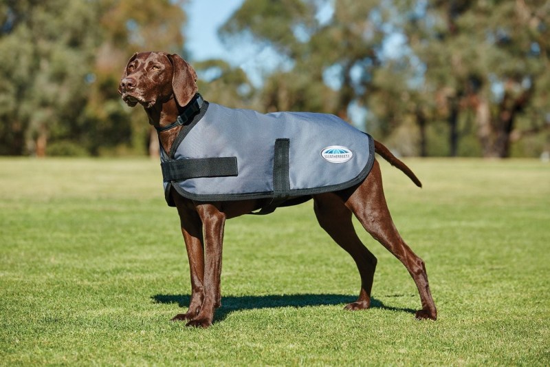 Weatherbeeta ComFiTec Classic Parka Dog Coat  Weatherbeeta ComFiTec Classic Parka Dog Coat