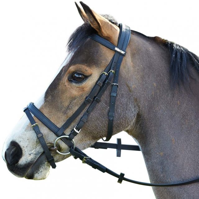 Wintec Wintec Flash Bridle